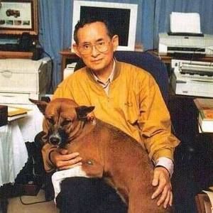 Meet your Posher, Tamonvan